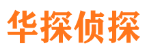 宜都市调查公司